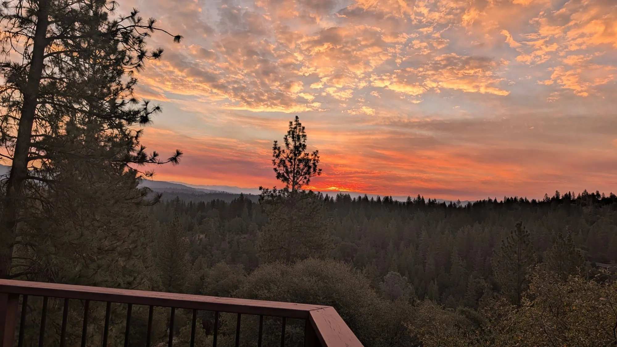 From the deck
