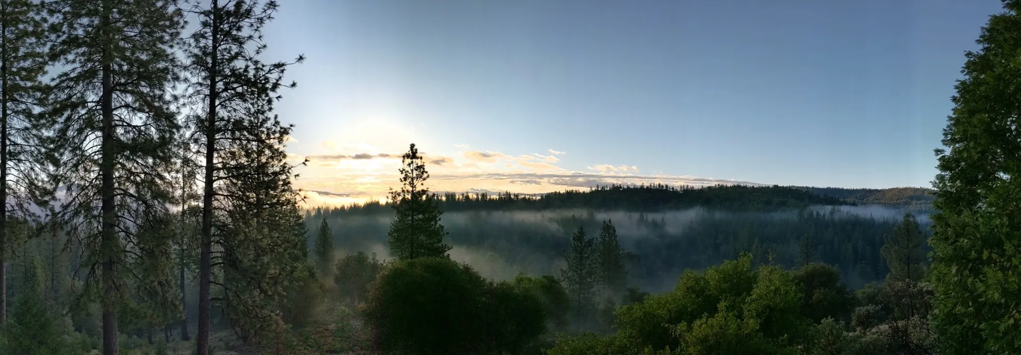 A misty morning