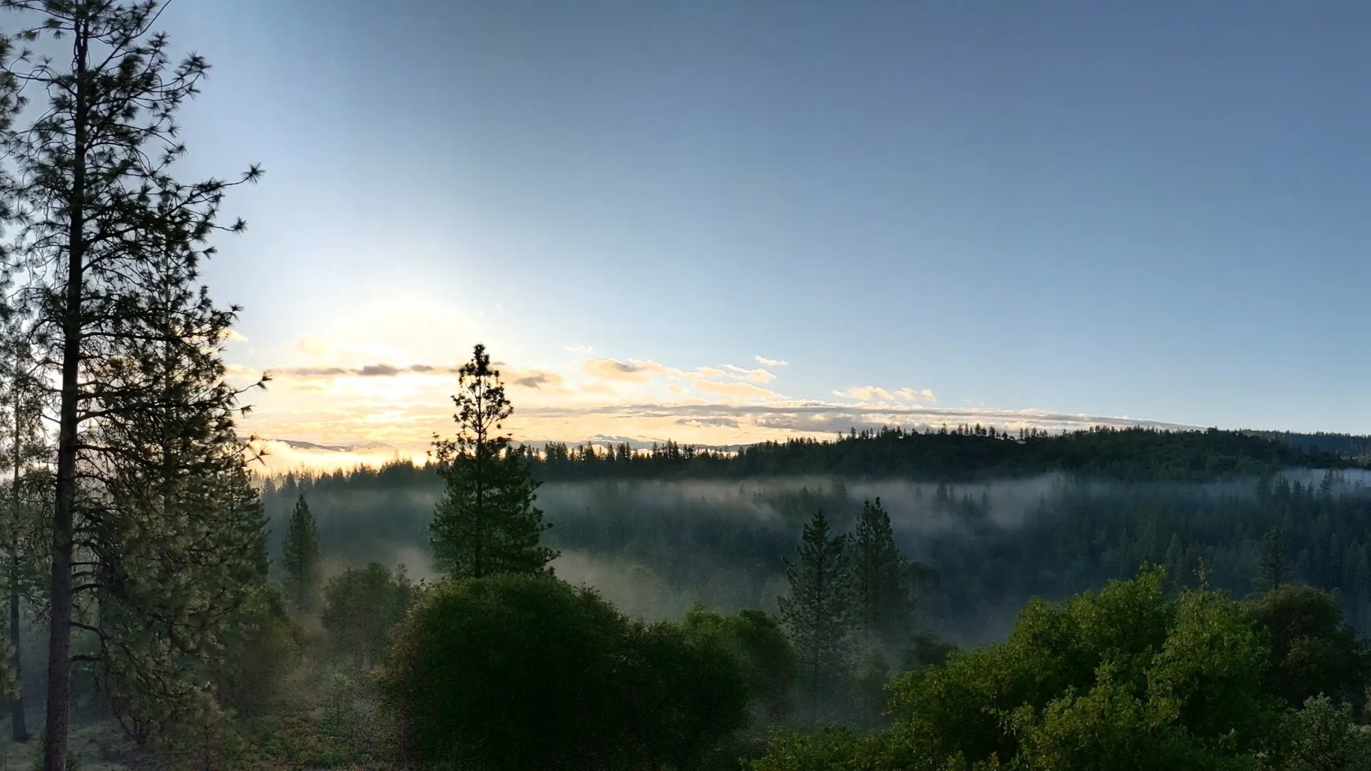 Morning mist drifting through the valley below the house